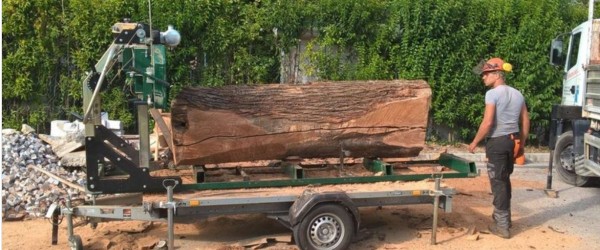 2ec716ab58cedb3998ab3d8545459438_1678493